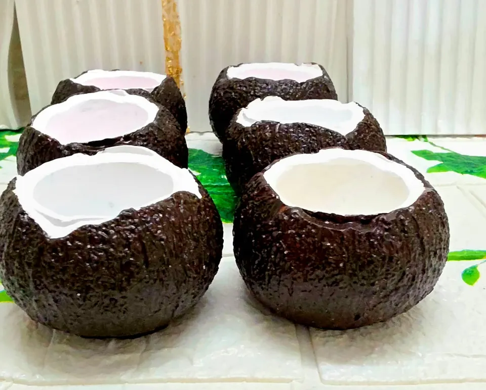 Eco-Shell Coconut Bowls, photo 4
