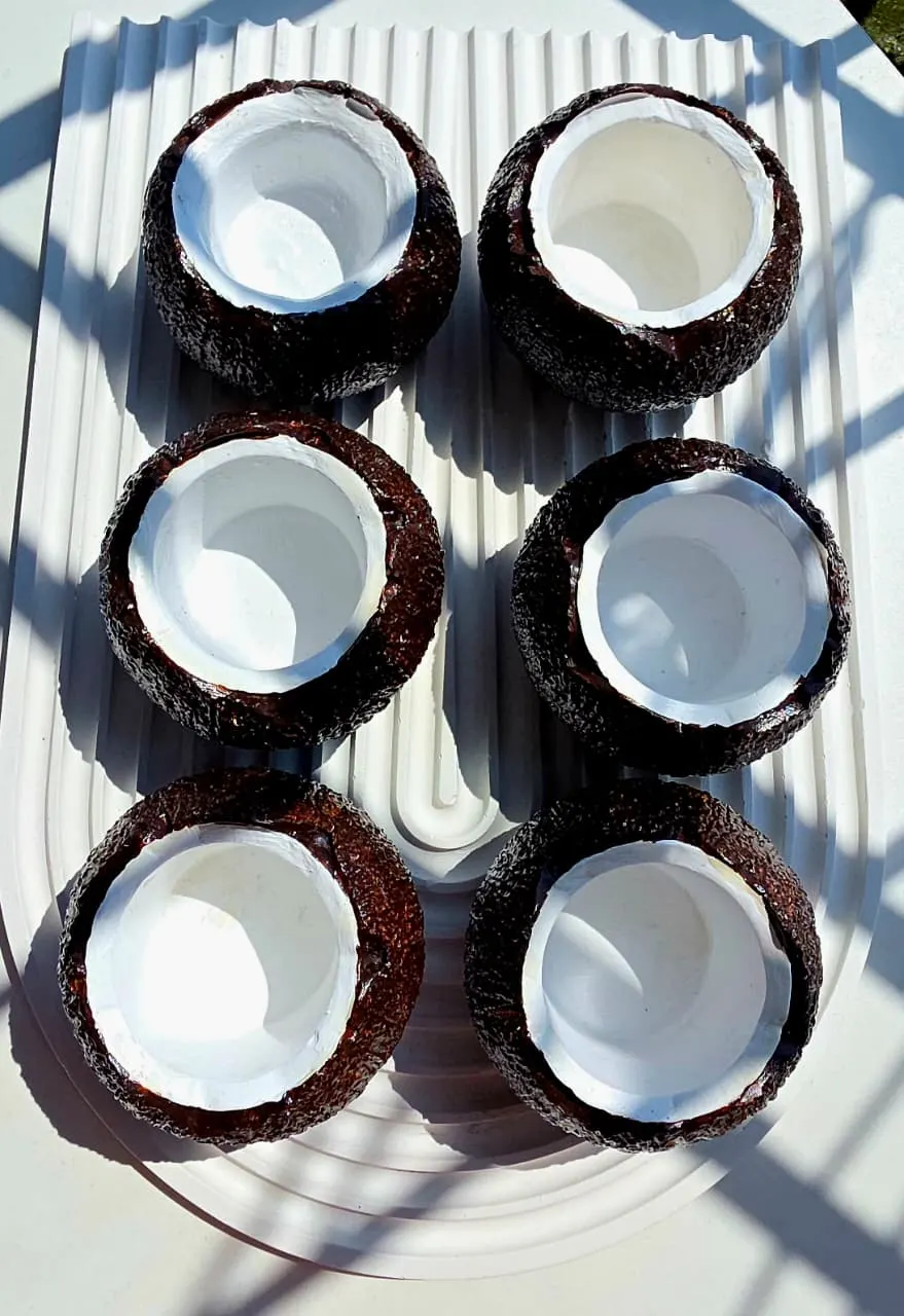 Eco-Shell Coconut Bowls, photo 6
