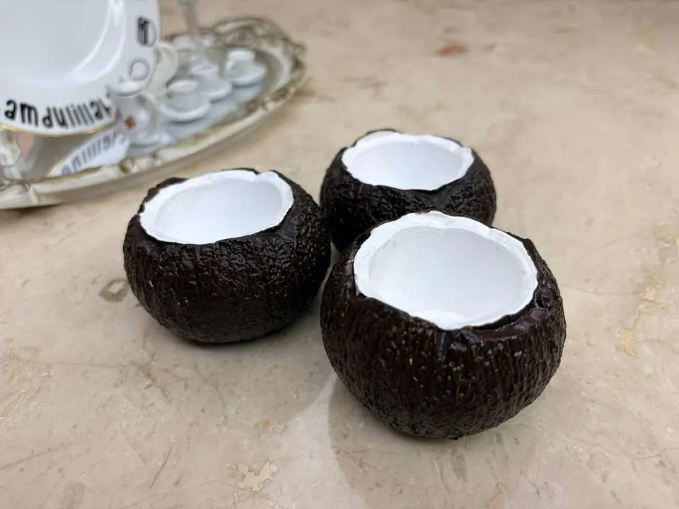 Eco-Shell Coconut Bowls, photo 3