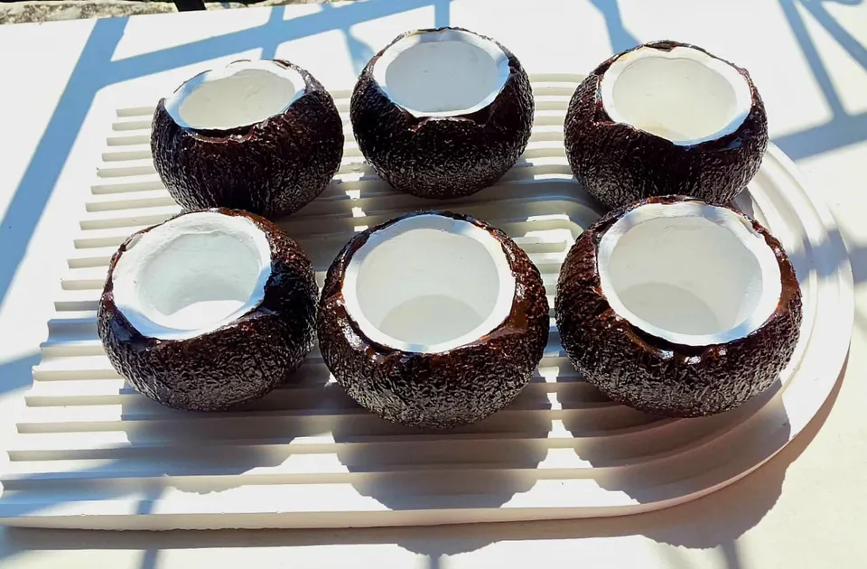 Eco-Shell Coconut Bowls, photo 7