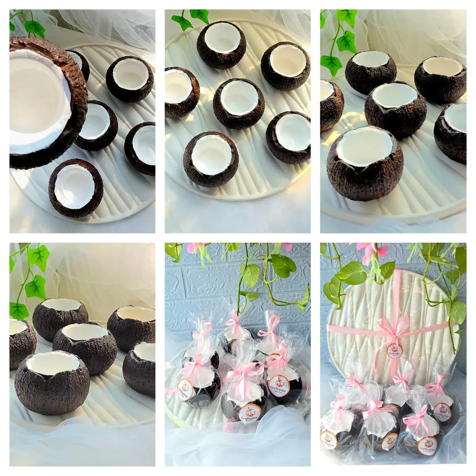 Eco-Shell Coconut Bowls, photo 5